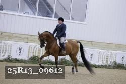 25R13_09612 thumbnail