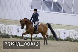 25R13_09613 thumbnail