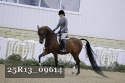 25R13_09614 thumbnail