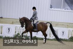 25R13_09615 thumbnail