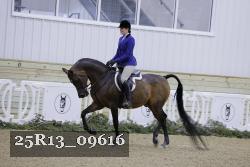 25R13_09616 thumbnail