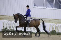 25R13_09618 thumbnail