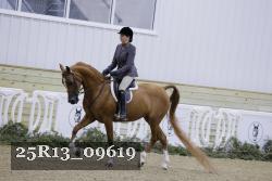 25R13_09619 thumbnail