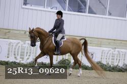 25R13_09620 thumbnail