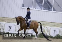 25R13_09622 thumbnail