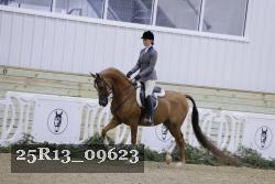 25R13_09623 thumbnail