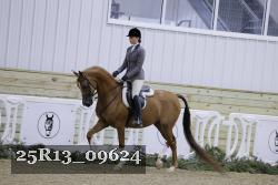 25R13_09624 thumbnail