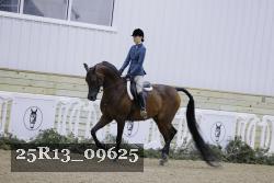 25R13_09625 thumbnail