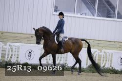 25R13_09626 thumbnail