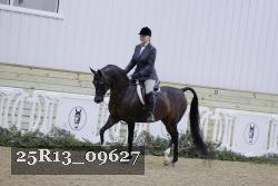 25R13_09627 thumbnail