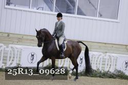 25R13_09628 thumbnail