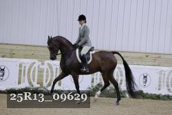 25R13_09629 thumbnail