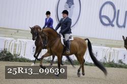 25R13_09630 thumbnail