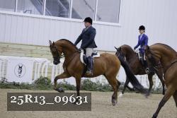 25R13_09631 thumbnail