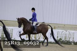 25R13_09632 thumbnail