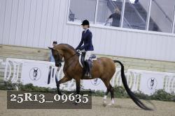 25R13_09635 thumbnail