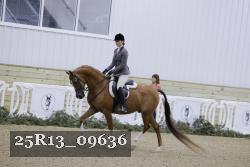 25R13_09636 thumbnail