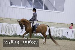 25R13_09637 thumbnail