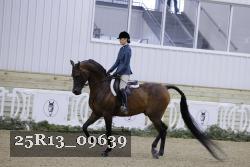 25R13_09639 thumbnail