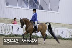 25R13_09640 thumbnail