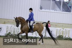 25R13_09641 thumbnail