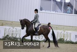 25R13_09642 thumbnail