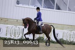 25R13_09643 thumbnail