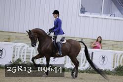 25R13_09644 thumbnail