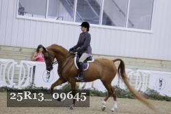 25R13_09645 thumbnail