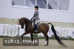 25R13_09646 thumbnail