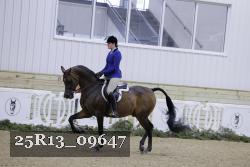 25R13_09647 thumbnail