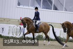 25R13_09648 thumbnail
