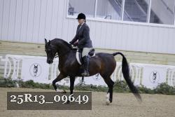 25R13_09649 thumbnail