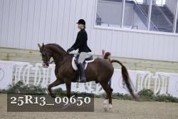 25R13_09650 thumbnail