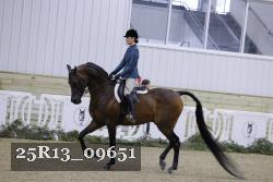 25R13_09651 thumbnail