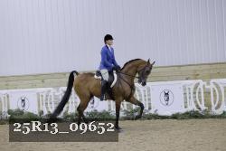25R13_09652 thumbnail
