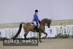 25R13_09653 thumbnail