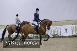 25R13_09654 thumbnail