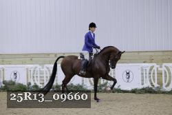 25R13_09660 thumbnail