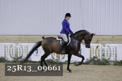 25R13_09661 thumbnail