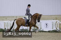 25R13_09662 thumbnail