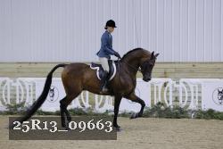 25R13_09663 thumbnail