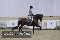 25R13_09664 thumbnail
