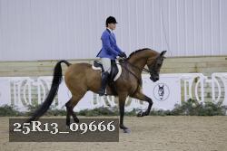 25R13_09666 thumbnail