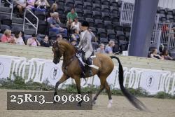 25R13_09686 thumbnail