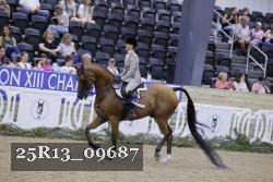 25R13_09687 thumbnail