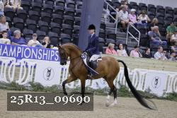 25R13_09690 thumbnail