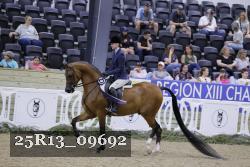 25R13_09692 thumbnail