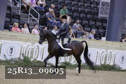 25R13_09695 thumbnail