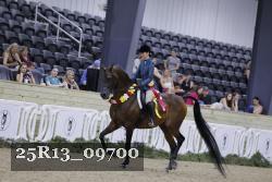 25R13_09700 thumbnail